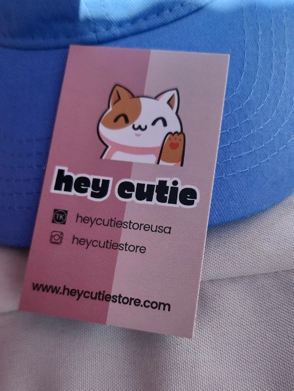 Blue Cat Embroidered Baseball Cap - Hey Cutie